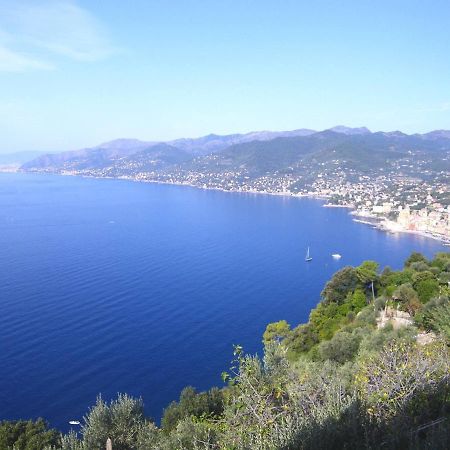 Portofino mountain unique love nest San Rocco  Extérieur photo