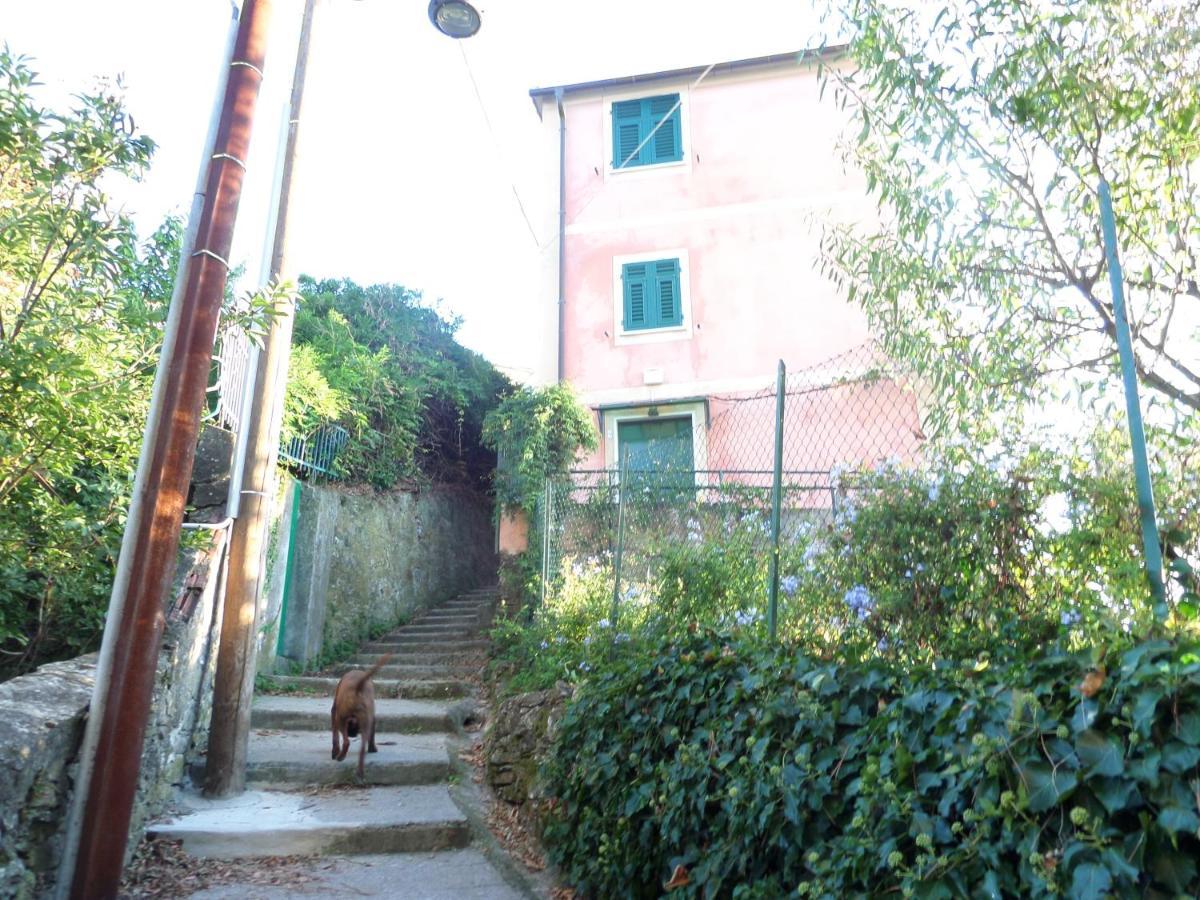 Portofino mountain unique love nest San Rocco  Extérieur photo